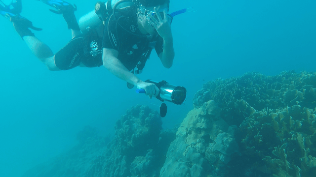 Underwater Trash Detection