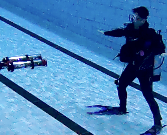 Diver Identification